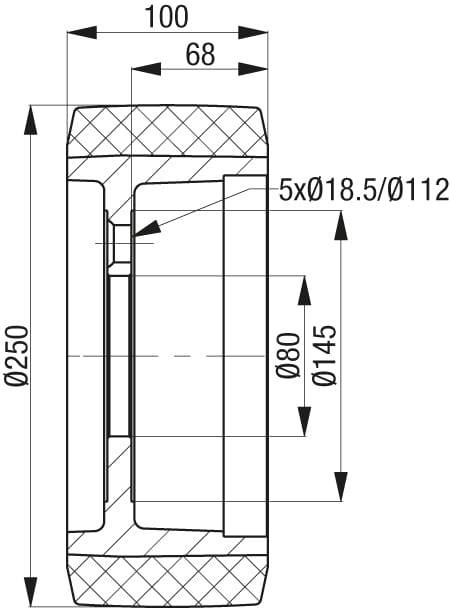 Technische Zeichnung eines zylindrischen Bauteils mit Maßen: Durchmesser 250 mm und Breite 100 mm, Bohrungen Ø18.5/Ø112 mm.