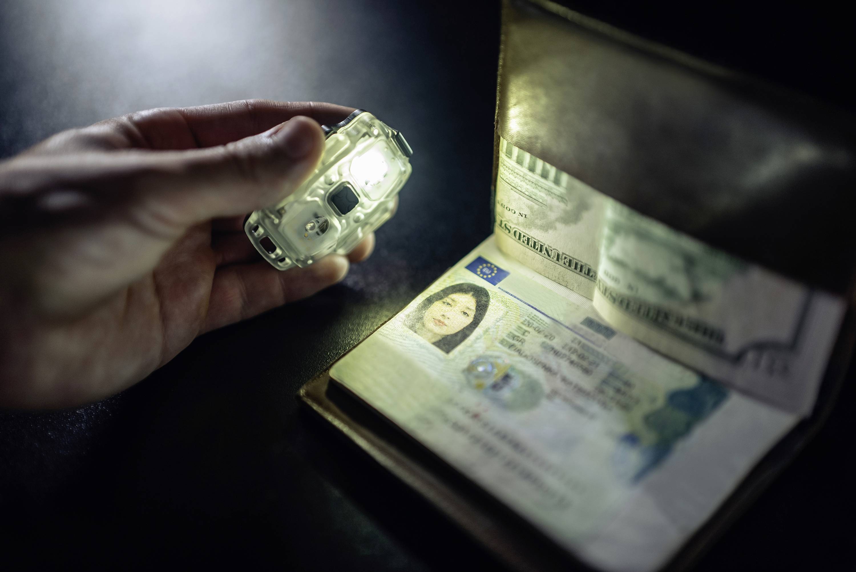 Eine Hand hält ein UV-Licht über einen geöffneten Reisepass, um Sicherheitsmerkmale zu überprüfen. Der Fokus liegt auf dem Foto und den Daten.