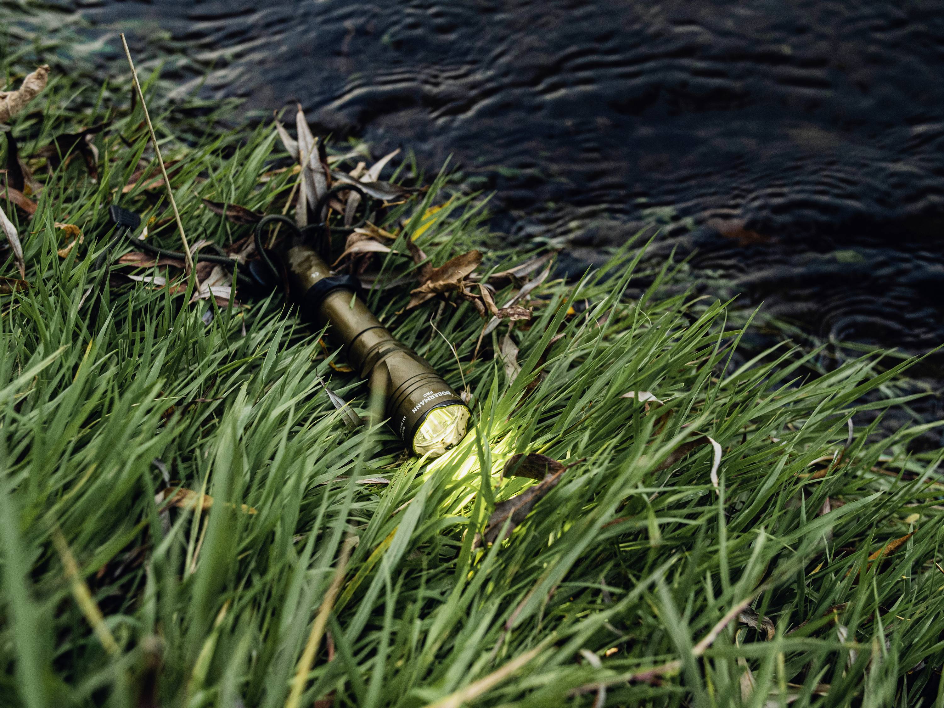 Taschenlampe leuchtet im Gras am Flussufer, umgeben von Laub.