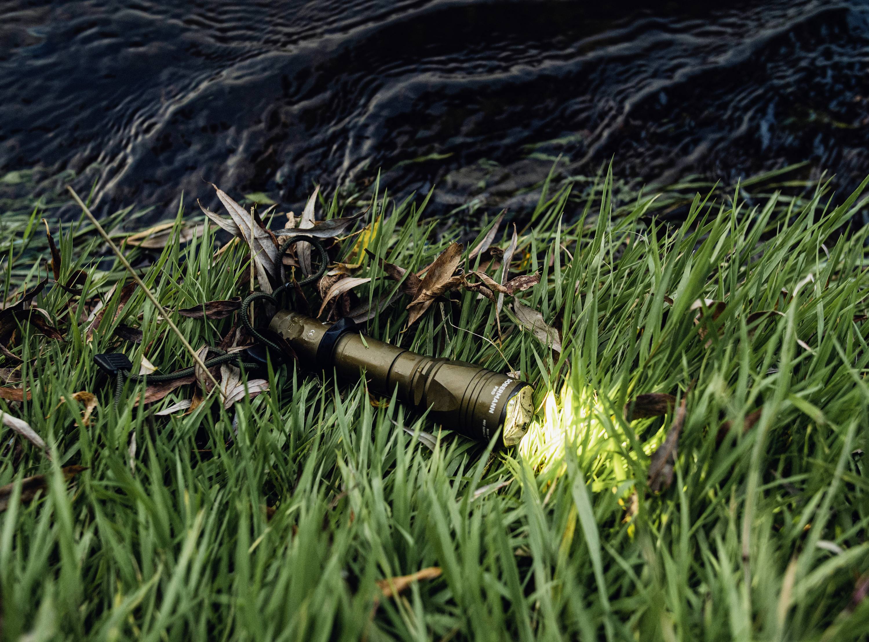 Eine Taschenlampe liegt eingeschaltet auf Gras neben einem Gewässer, ihr Licht leuchtet auf die umgebenden Halme und Blätter.