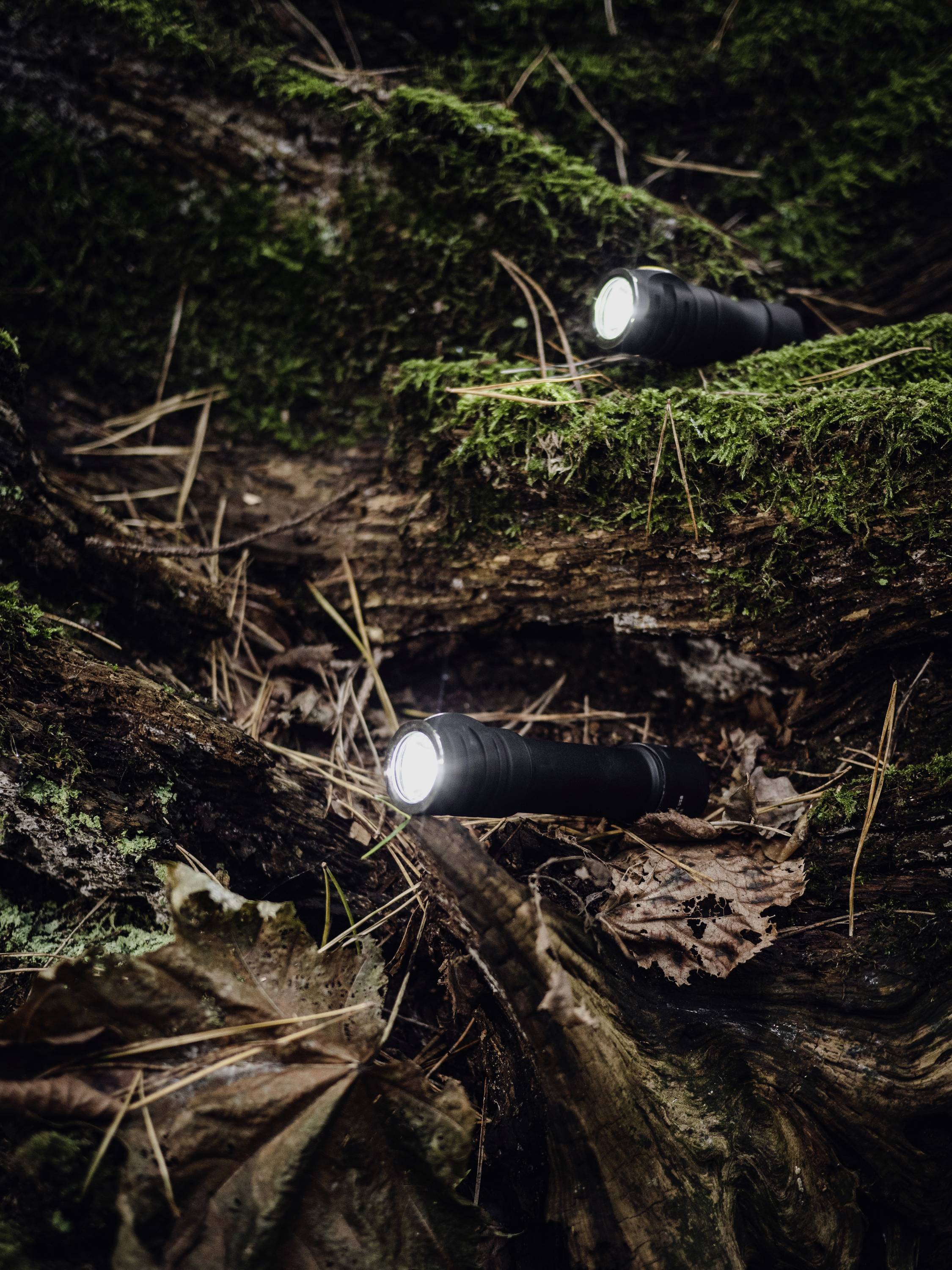 Zwei Taschenlampen leuchten in einem dicht bewachsenen Wald auf einem moosbedeckten Boden, umgeben von Blättern und Zweigen.
