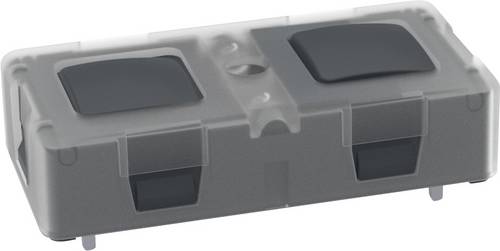 RAFI 1.12.000.501/0000 KN 19 Drucktaster 250 V 6 A rastend (L x B x H) 37.8 x 18.8 x 9.7 mm 1 St.