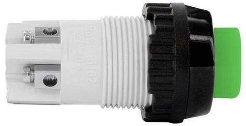 RAFI 1.01.102.011/0507 Drucktaster 250 V 2 A tastend (L x B x H) 22 x 22 x 44.5 mm 1 St.