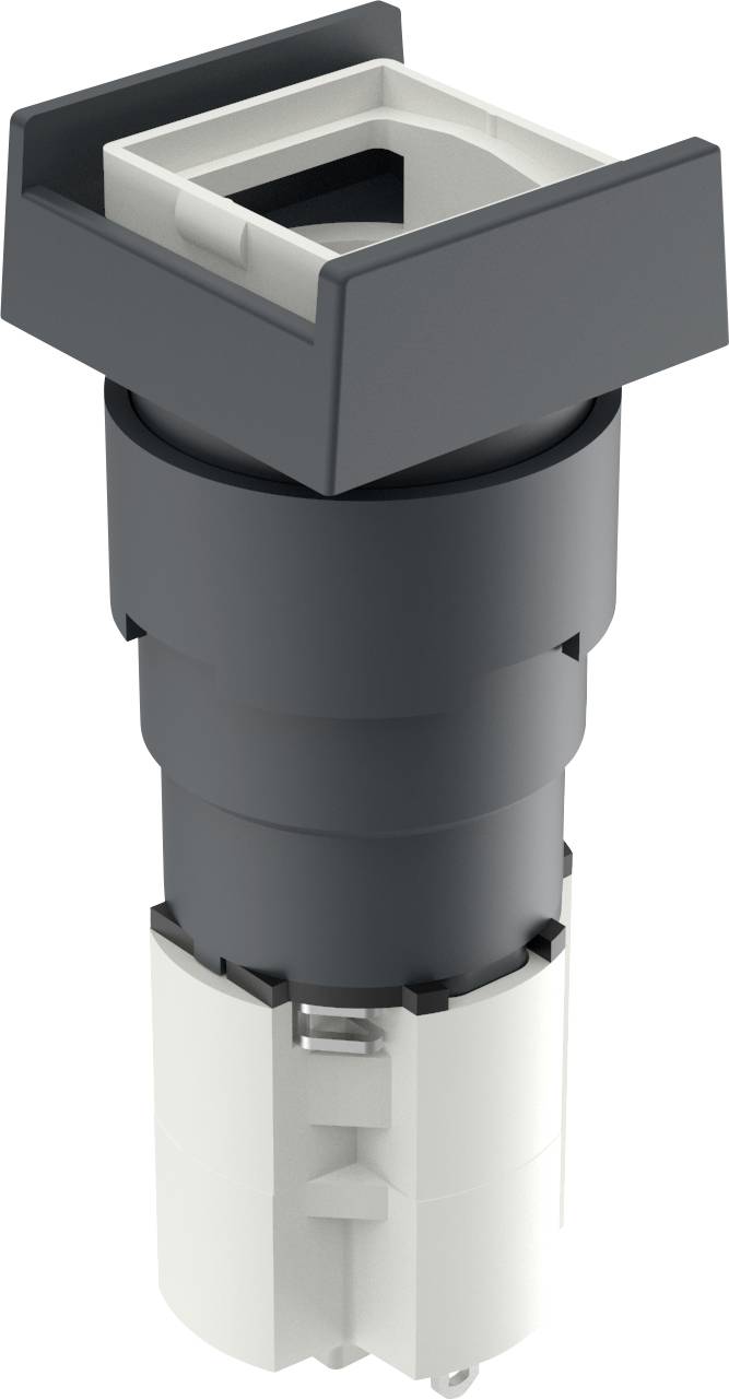 RAFI 1.15.108.251/0000 LUMOTAST 75 Leuchtdrucktaster 230 V 4 A tastend (L x B x H) 18 x 18 x 49 mm