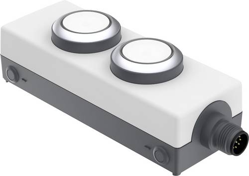 RAFI 1.22.392.392/2200 LDT091 Leuchtdrucktaster 24 V 0.5 A tastend (L x B x H) 123.2 x 40 x 35.6 mm