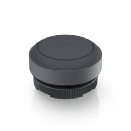 RAFI 1.30.270.001/0101 RAFIX 22 FS Drucktaster tastend (L x B x H) 29.8 x 29.8 x 18.5 mm 1 St.