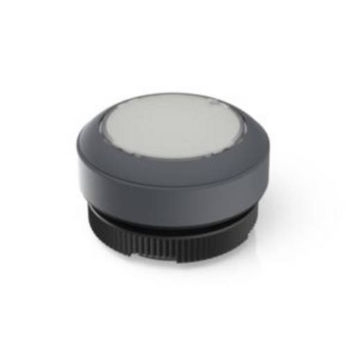 RAFI 1.30.270.901/2207 RAFIX 22 FS Leuchtdrucktaster tastend (L x B x H) 29.8 x 29.8 x 18.5 mm 1 St