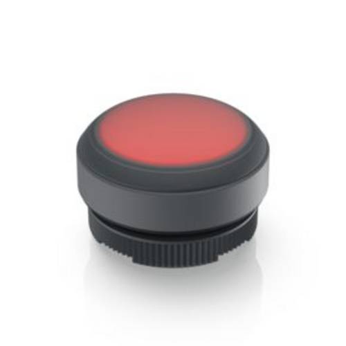 RAFI 1.30.270.005/2301 RAFIX 22 FS Leuchtdrucktaster tastend (L x B x H) 29.8 x 29.8 x 20.7 mm 1 St
