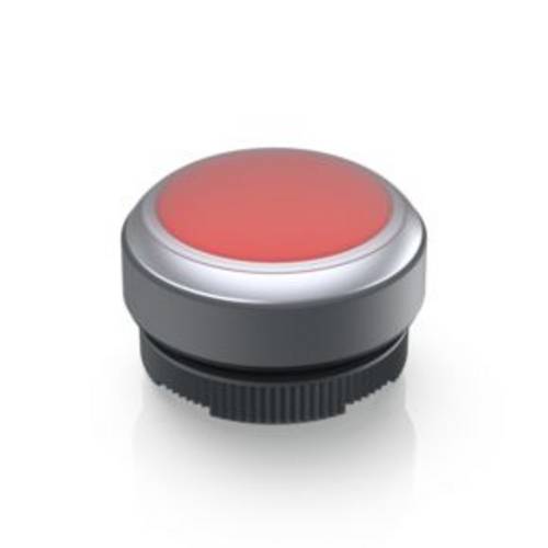 RAFI 1.30.270.005/2308 RAFIX 22 FS Leuchtdrucktaster tastend (L x B x H) 29.8 x 29.8 x 20.7 mm 1 St