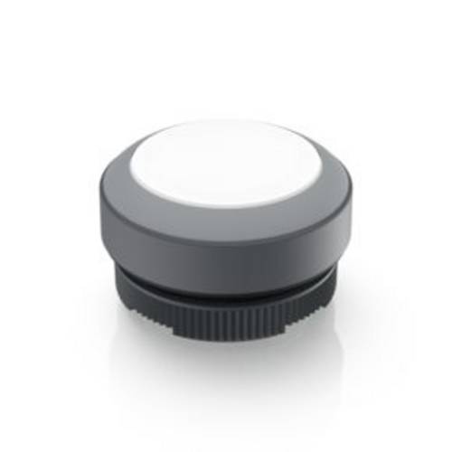 RAFI 1.30.270.001/2208 RAFIX 22 FS Leuchtdrucktaster tastend (L x B x H) 29.8 x 29.8 x 18.5 mm 1 St