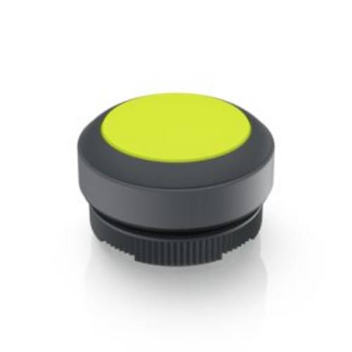 RAFI 1.30.270.001/2401 RAFIX 22 FS Leuchtdrucktaster tastend (L x B x H) 29.8 x 29.8 x 18.5 mm 1 St