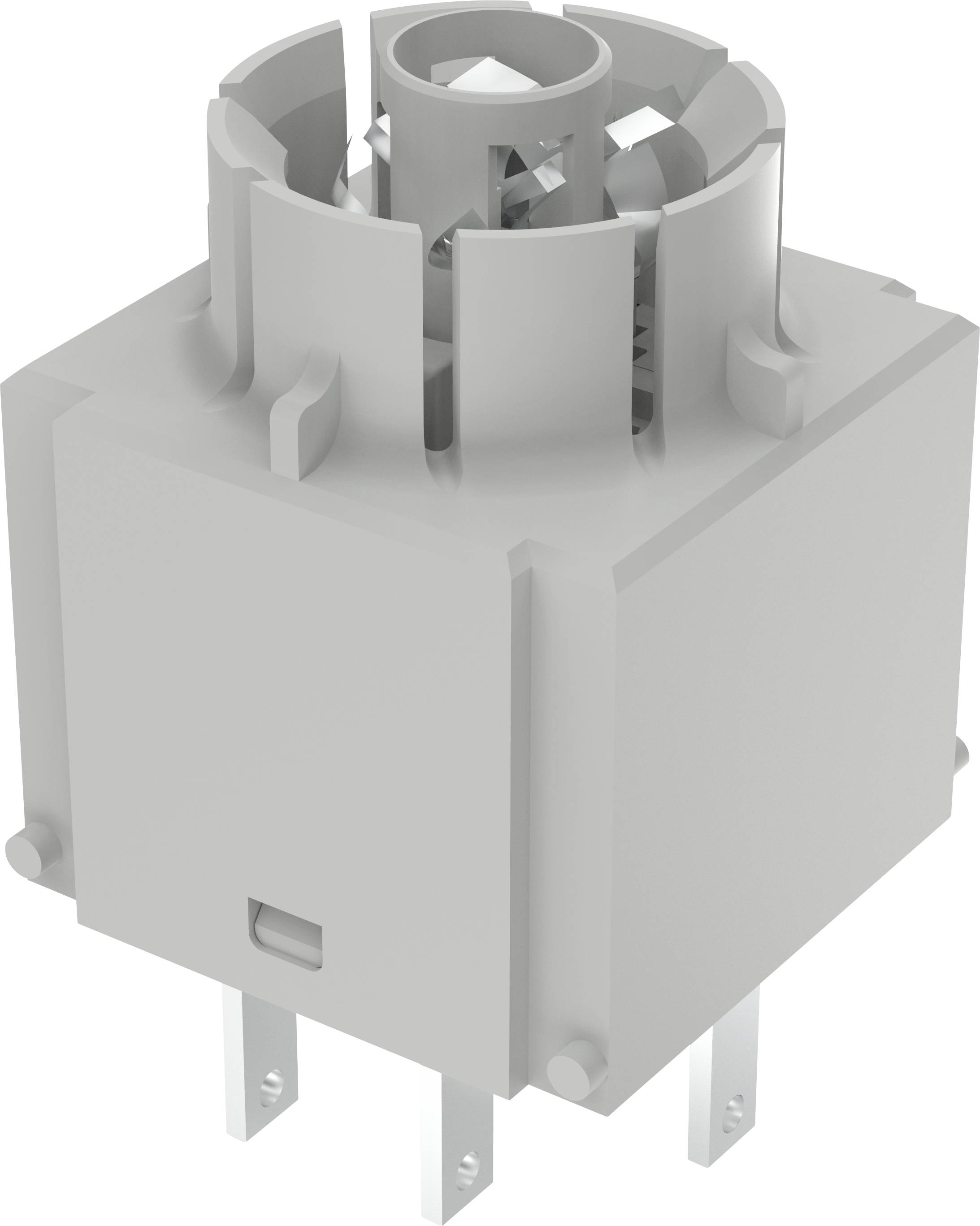 RAFI 1.20.122.042/0000 Schaltelement 2 Schließer rastend 250V 1St.