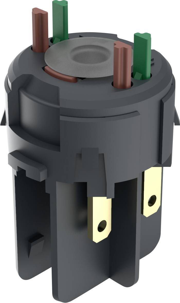 RAFI 1.20.126.303/9000 Schaltelement 1 Öffner, 1 Schließer 250 V 1 St.