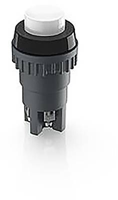 RAFI 1.01.102.001/0205 1.01.102.001/0205 Drucktaster 250V 2A tastend (L x B x H) 22 x 22 x 44.5mm