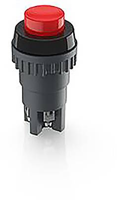 RAFI 1.01.102.001/0301 1.01.102.001/0301 Drucktaster 250V 2A tastend (L x B x H) 22 x 22 x 44.5mm