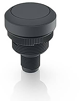 RAFI 1.10.011.001/0111 RAMO 22 T Drucktaster 35V 0.1A