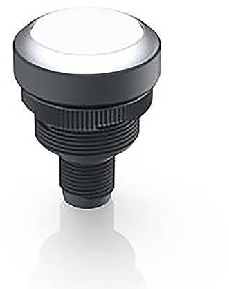 RAFI 1.10.011.001/0220 1.10.011.001/0220 Drucktaster 35V 0.1A