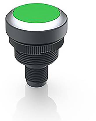 RAFI 1.10.011.001/0550 RAMO 22 T Drucktaster 35V 0.1A