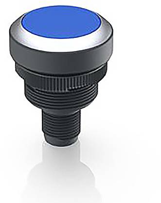 RAFI 1.10.011.001/0660 RAMO 22 T Drucktaster 35V 0.1A