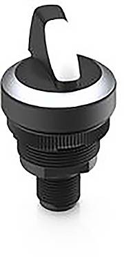 RAFI 1.10.021.002/0020 RAMO 22 Schlüsselschalter 32V 0.1A 2 x 40°