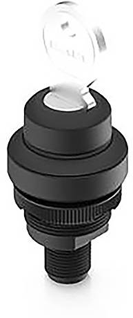 RAFI 1.10.051.604/0001 RAMO 22 K Schlüsselschalter 32V 0.1A 1 x 90°