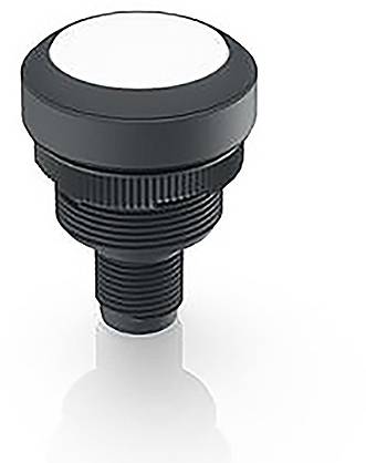 RAFI RAMO 22 Meldeleuchte Weiß