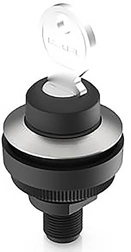 RAFI 1.11.051.001/0000 RAMO 30 Schlüsselschalter 32V 0.1A tastend (L x B x H) 34.5 x 34.5 x 75.1mm