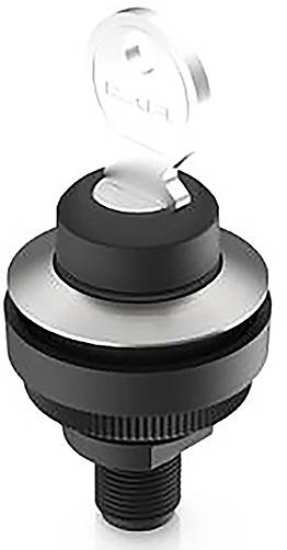 RAFI 1.11.051.002/0000 RAMO 30 Schlüsselschalter 32V 0.1A tastend (L x B x H) 34.5 x 34.5 x 75.1mm