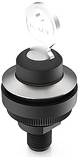 RAFI 1.11.051.003/0000 RAMO 30 K Schlüsselschalter 32V 0.1A 1 x 90°