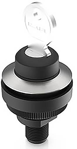 RAFI 1.11.051.203/0000 RAMO 30 K Schlüsselschalter 32V 0.1A 1 x 90°