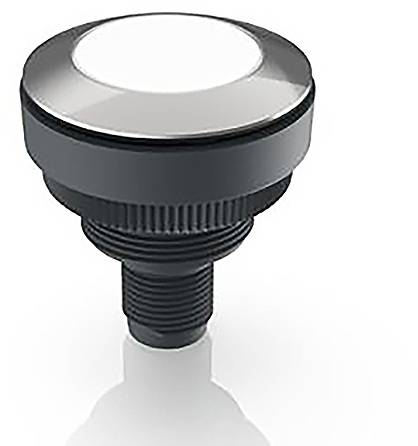 RAFI RAMO 30 Meldeleuchte Weiß