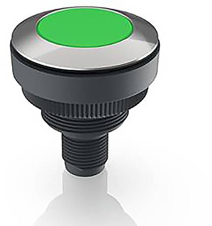 RAFI RAMO 30 Meldeleuchte Edelstahl, Grün