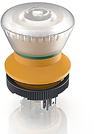 RAFI LUMOTAST 22 Not-Aus-Schalter 2 Öffner