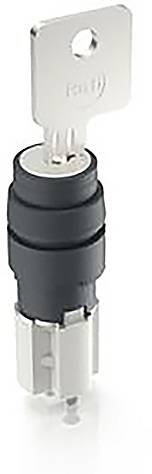 RAFI 1.15.108.912/0000 LUMOTAST Schlüsselschalter 230V 4A 1 x 90°