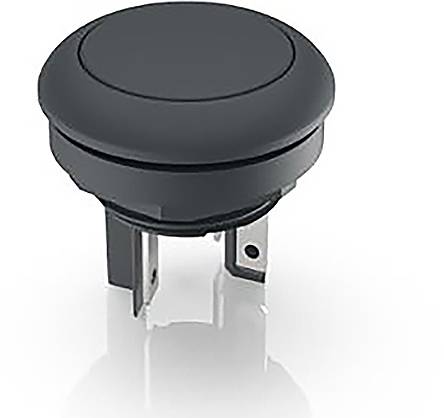 RAFI 1.15.210.001/0101 1.15.210.001/0101 Drucktaster 35V 0.1A tastend (L x B x H) 23.5 x 23.5 x 22.3mm