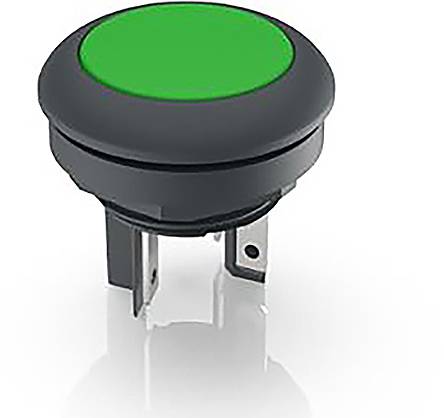 RAFI 1.15.210.001/0501 1.15.210.001/0501 Drucktaster 35V 0.1A tastend (L x B x H) 23.5 x 23.5 x 22.3mm
