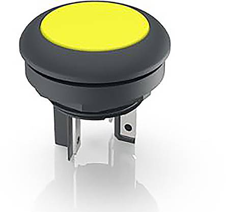 RAFI 1.15.210.101/2401 1.15.210.101/2401 Leuchtdrucktaster 35V 0.1A tastend (L x B x H) 23.5 x 23.5 x 22.3mm