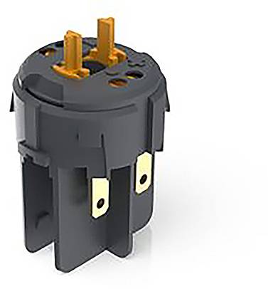 RAFI RAFIX FS Schaltelement 1 Öffner, 1 Schließer 35V