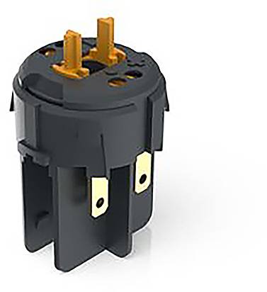 RAFI RAFIX FS Schaltelement 1 Öffner, 1 Schließer 250V