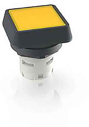 RAFI 1.30.070.001/1403 1.30.070.001/1403 Leuchtdrucktaster (L x B x H) 24.95 x 24.95 x 26.35mm
