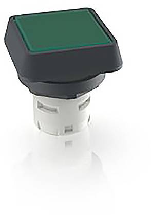 RAFI 1.30.070.001/1505 1.30.070.001/1505 Leuchtdrucktaster (L x B x H) 24.95 x 24.95 x 26.35mm