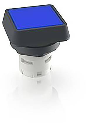 RAFI 1.30.070.001/1607 1.30.070.001/1607 Leuchtdrucktaster (L x B x H) 24.95 x 24.95 x 26.35mm