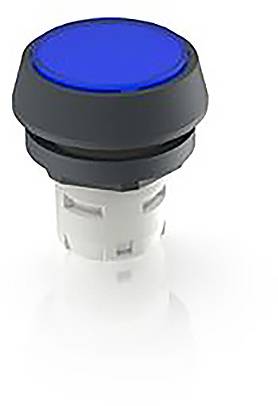 RAFI 1.30.070.021/1607 1.30.070.021/1607 Leuchtdrucktaster (L x B x H) 24.95 x 24.95 x 26.35mm