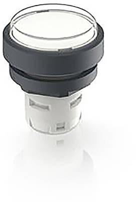 RAFI 1.30.070.026/1002 1.30.070.026/1002 Leuchtdrucktaster (L x B x H) 24.95 x 24.95 x 26.35mm