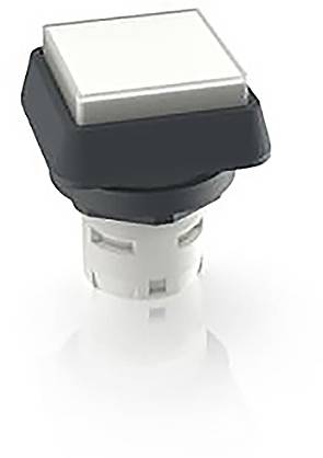 RAFI 1.30.070.051/1002 1.30.070.051/1002 Leuchtdrucktaster (L x B x H) 24.95 x 24.95 x 29.15mm