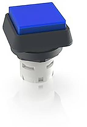 RAFI 1.30.070.051/1607 1.30.070.051/1607 Leuchtdrucktaster (L x B x H) 24.95 x 24.95 x 29.15mm