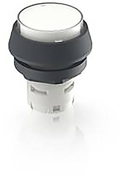 RAFI 1.30.070.071/1002 1.30.070.071/1002 Leuchtdrucktaster (L x B x H) 24.95 x 24.95 x 29.15mm