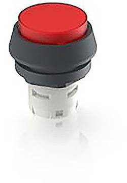 RAFI 1.30.070.071/1306 1.30.070.071/1306 Leuchtdrucktaster (L x B x H) 24.95 x 24.95 x 29.15mm