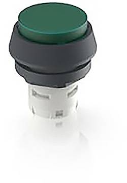 RAFI 1.30.070.071/1505 1.30.070.071/1505 Leuchtdrucktaster (L x B x H) 24.95 x 24.95 x 29.15mm