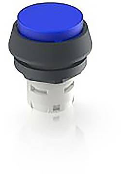 RAFI 1.30.070.071/1607 1.30.070.071/1607 Leuchtdrucktaster (L x B x H) 24.95 x 24.95 x 29.15mm